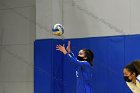 Women’s VB intersquad  Women’s Volleyball inter-squad match. : Women’s Volleyball, VB, inter squad, intersquad
